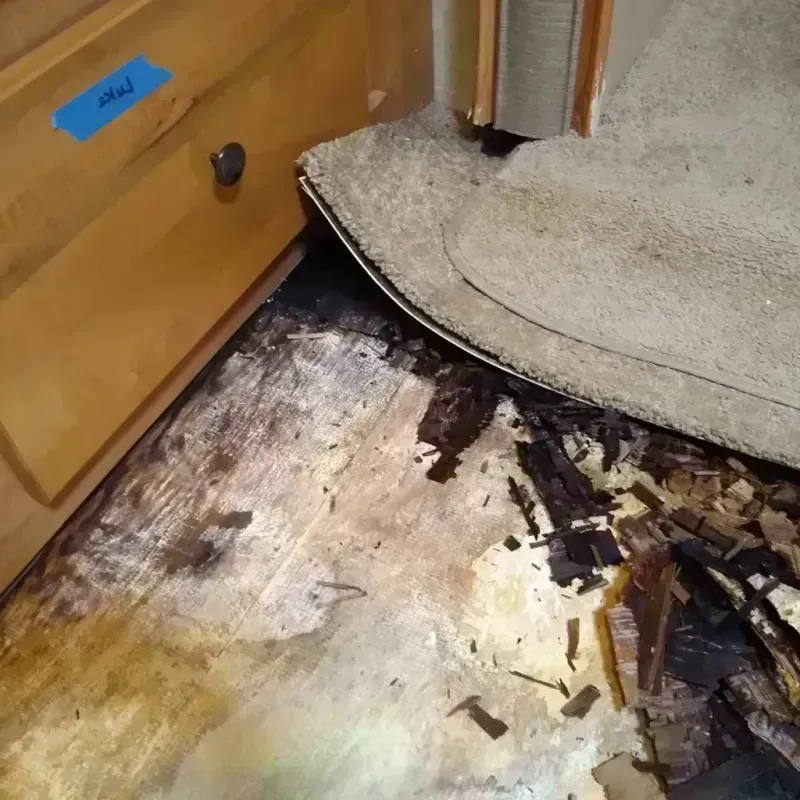 Wood Floor Water Damage in Fort Lauderdale, FL